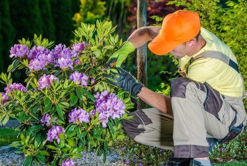 Gardening services in Upminster Bridge for a tidy residential garden