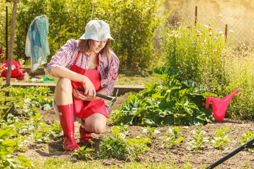 Image showing a resolved service concern in a gardening context