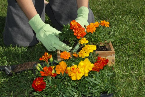 Supplier audit process for Upminster Bridge gardeners