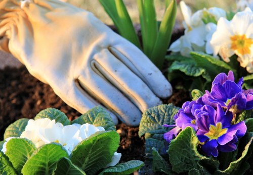 Outdoor garden team following safe working practices during maintenance