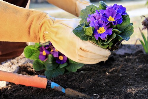 Professional garden maintenance in Upminster Bridge including hedge trimming and weed control