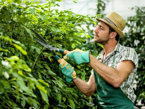 About Us Gardeners Upminster Bridge with a focus on quality outdoor spaces