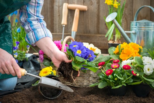 Healthy lawn care and seasonal garden upkeep in Upminster Bridge