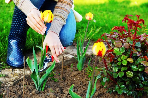 Upminster Bridge garden maintenance for seasonal outdoor care