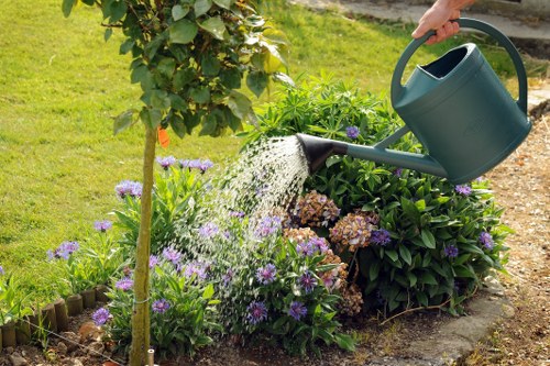 Seasonal hedge maintenance in Upminster Bridge for healthy outdoor spaces