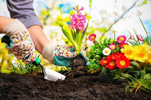Low-carbon van used for sustainable gardening collection