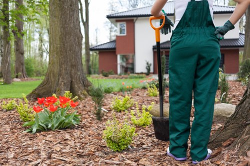 Mowing and feeding a lawn in Upminster Bridge during seasonal care