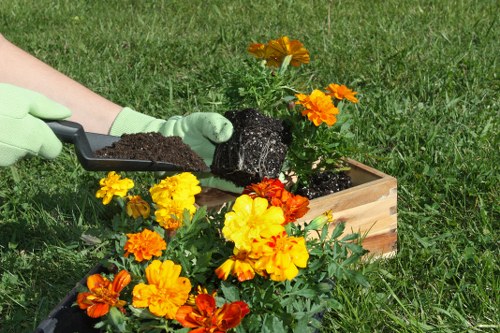 Garden clearance and maintenance services in Upminster Bridge